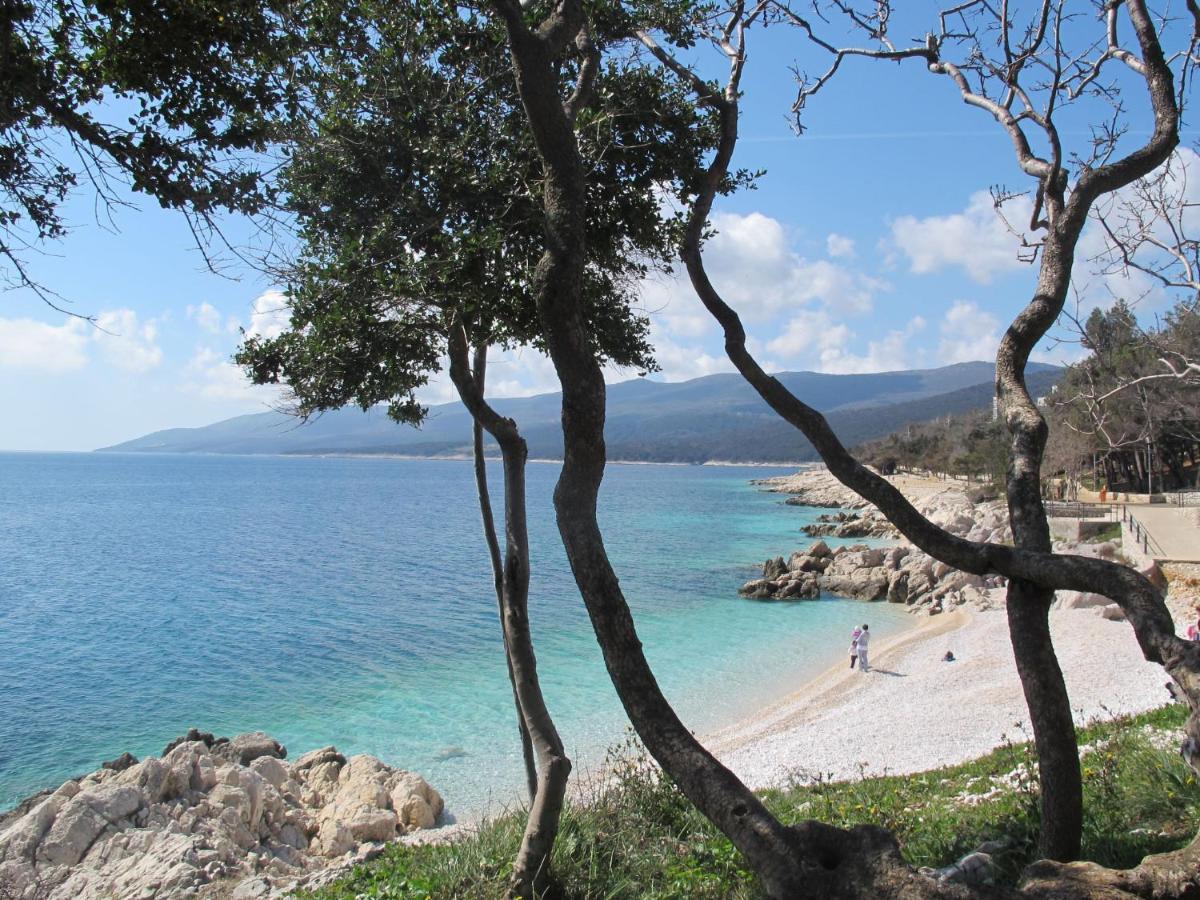 Apartment Katarina - Rac173 Rabac Exterior photo